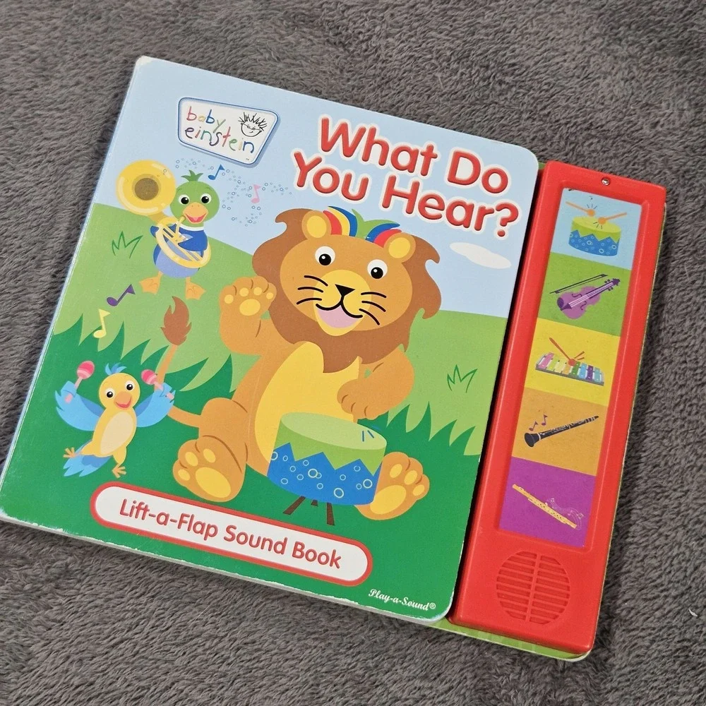 BABY EINSTEIN‎ What Do You Hear? Lift-a-Flap Sound Book: Hardcover: READ